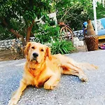 호텔 L'onda 3*