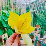 호텔 L'onda